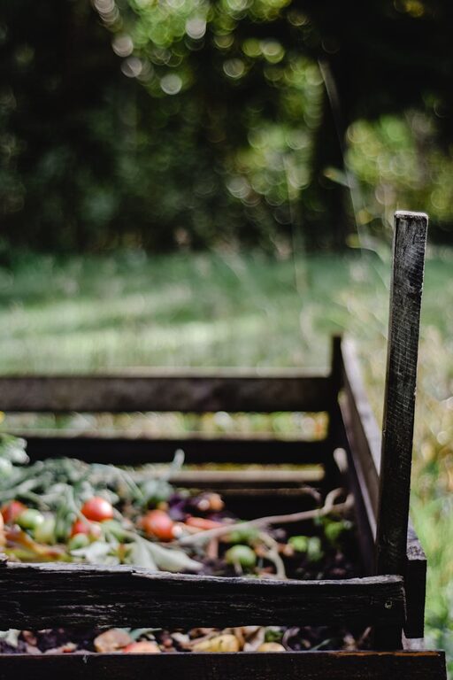 Beginner Tips for Composting at Home: Easy Steps to Get Started